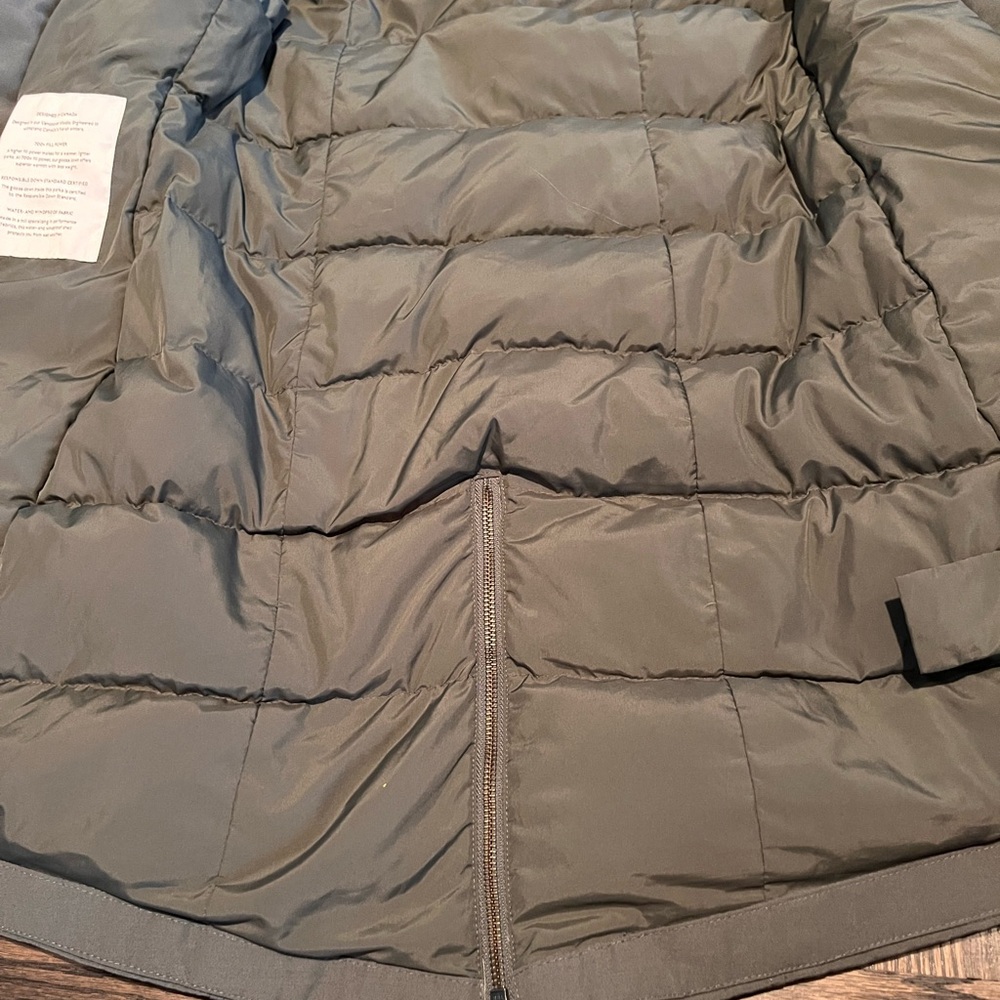 Aritizia Wilfred Northstar Premium Goose Down Parka - Picture 9 of 12